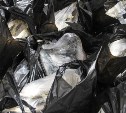 Больше 200 килограммов рыбы бесплатно раздал ветеранам корсаковский предприниматель