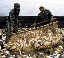  Подготовка Госсовета по развитию рыбохозяйственной отрасли завершается на Сахалине