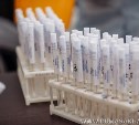Около ста человек сдали тест на коронавирус в Сахалинской областной думе