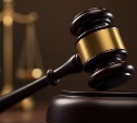 На Сахалине с организации потребовали 3,3 млн рублей за "Пиксель-Вжик"