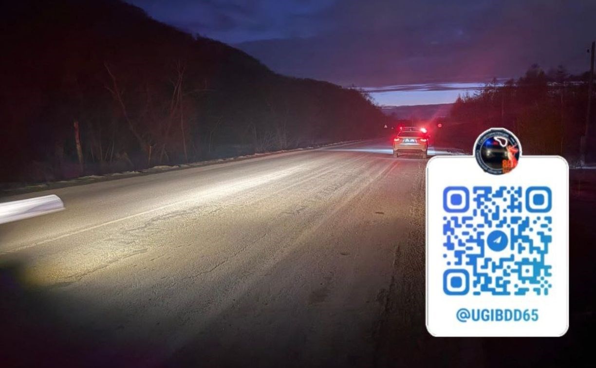 Мужчина внезапно вышел на трассу и попал под авто на юге Сахалина