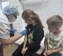 Первая партия вакцины от гриппа поступила в Сахалинскую область