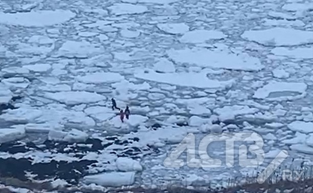 "Опасно для жизни": в Южно-Курильске дети устроили забег по льдинам