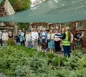 Южносахалинцы реализуют социальные инициативы в рамках конкурса "Мы и наш город"
