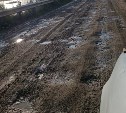  "Ходовка разбита, стойки на замену": жители Анивского района жалуются на отвратительную дорогу 