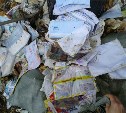 Сотни килограммов различной почты найдены в придорожной канаве в районе села Ключи 