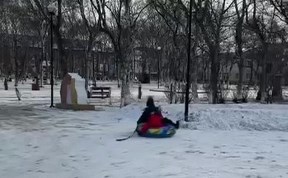 Общество