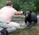 Житель Углегорского района с рук накормил медведя