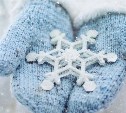 На север Сахалина навалится 40-градусный мороз, на юге потеплеет до -5: прогноз погоды на 29 декабря