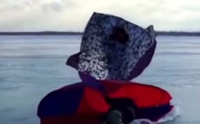 Общество