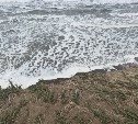 Красногорск снова тревожит размыв берега: море подбирается к жилым домам