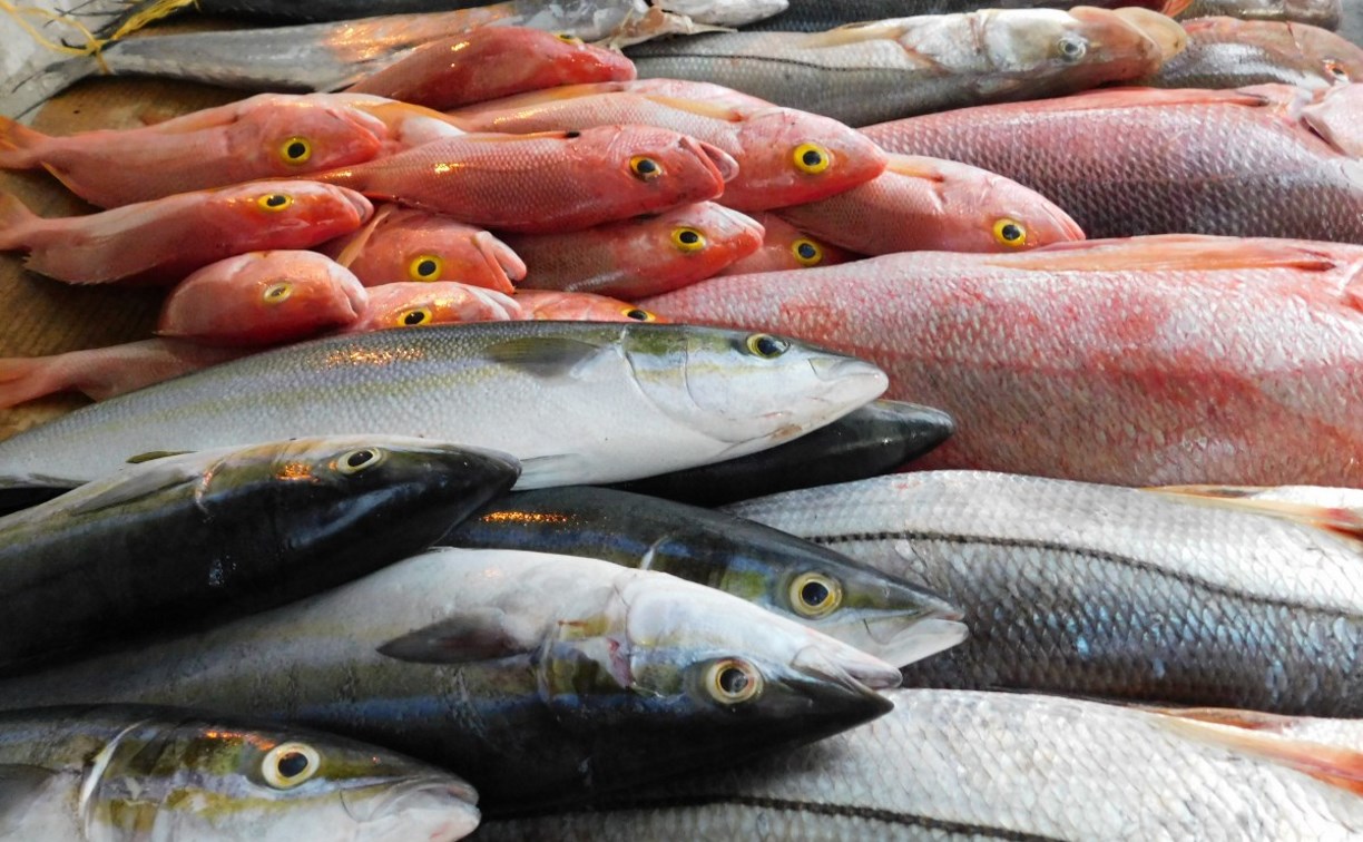 На Сахалине предлагают расторгать договоры на морские участки со скупающими рыбу у браконьеров  