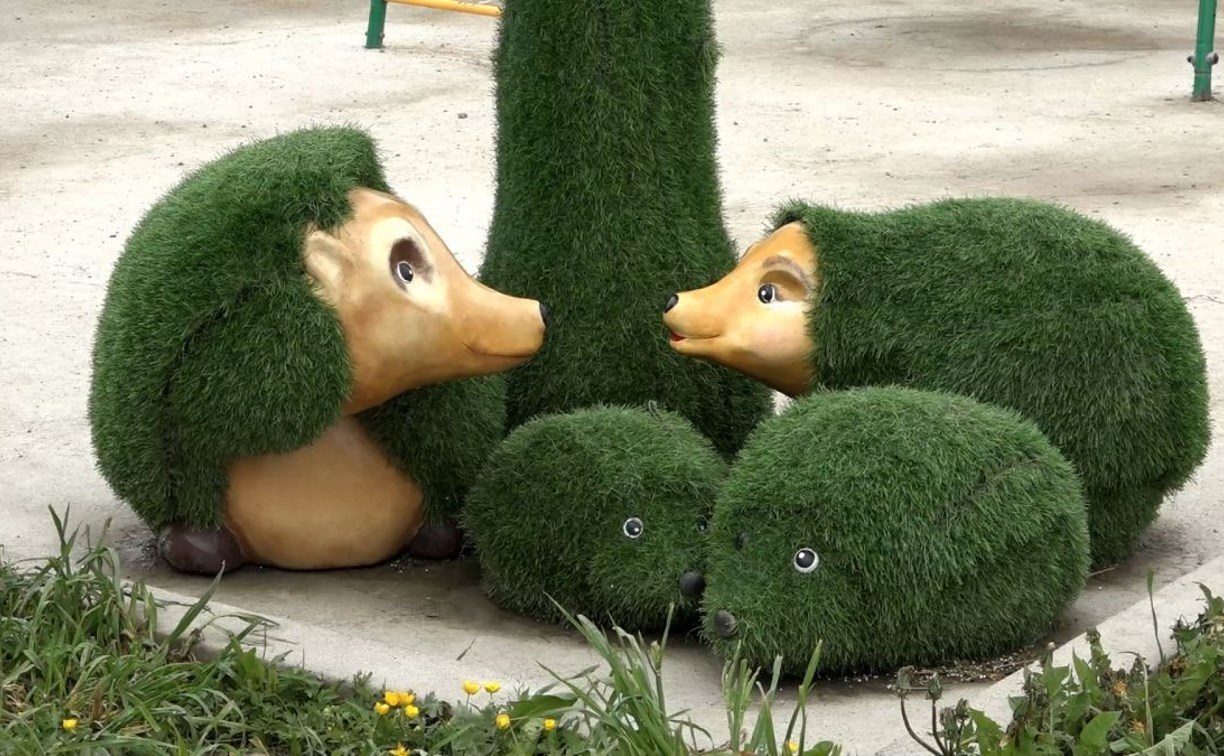 Южносахалинцы превращают "дальневосточный гектар" в успешный бизнес