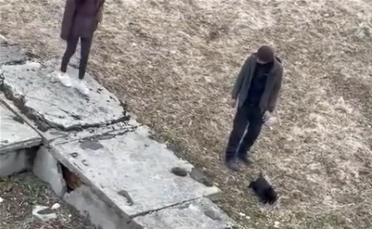 В Поронайске сняли на видео странное обращение с кошкой во дворе — очевидцы