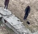 В Поронайске сняли на видео странное обращение с кошкой во дворе — очевидцы
