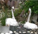 Необычный Сад камней появился в одном из дворов областного центра (ФОТО)