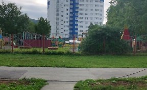 Общество