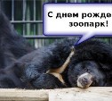 Сахалинский зоопарк отметит день рождения