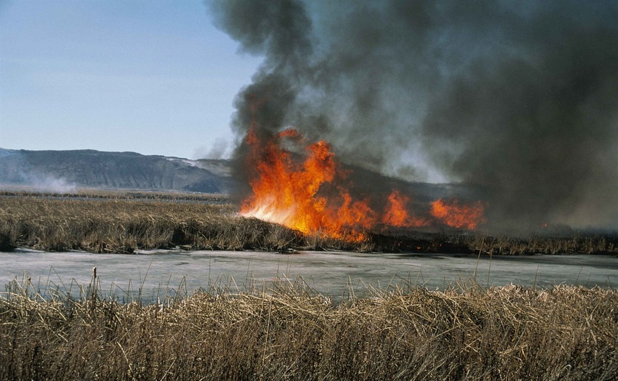 С начала весны в Южно-Сахалинске 22 раза загоралась трава