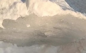 Общество