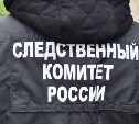 Избивал жену, а потом переключился на полицейских - невельчанин напился и заработал уголовное дело 