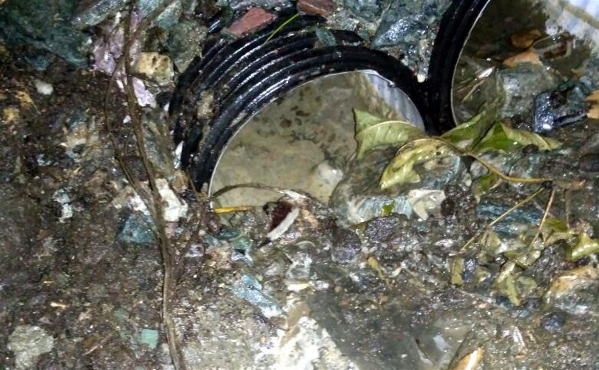 "Всё для вас": в Южно-Сахалинске цементовоз помылся прямо на газоне