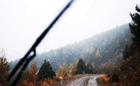 Происшествия