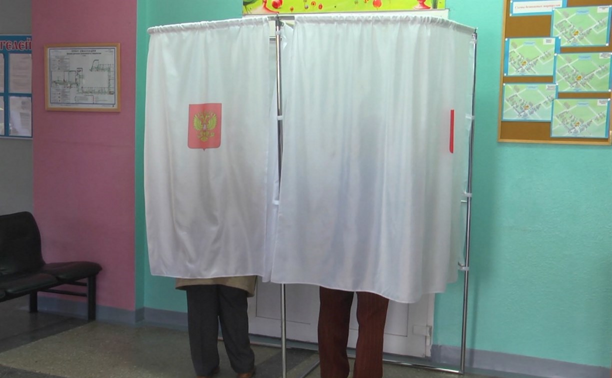 Жители Сахалинской области смогут голосовать и участвовать в референдумах удалённо