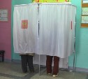 Жители Сахалинской области смогут голосовать и участвовать в референдумах удалённо