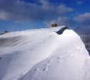 Фенологи доложили о начале «глубокой зимы» на Кунашире