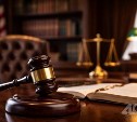 На Сахалине вынесли приговор водителю, насмерть сбившему собаку 