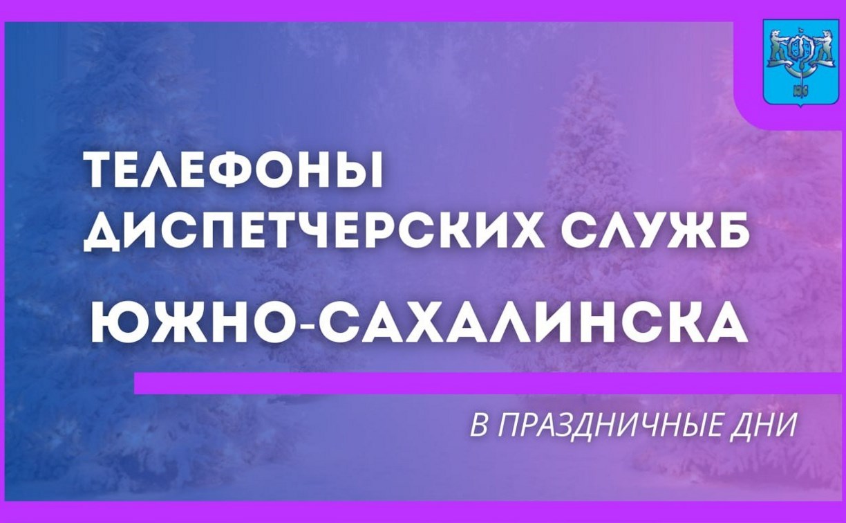 Южносахалинцам рассказали, куда звонить на каникулах, если нет света или воды