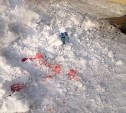 Директор УК в Шахтерске осужден за несвоевременную очистку крыш от снега