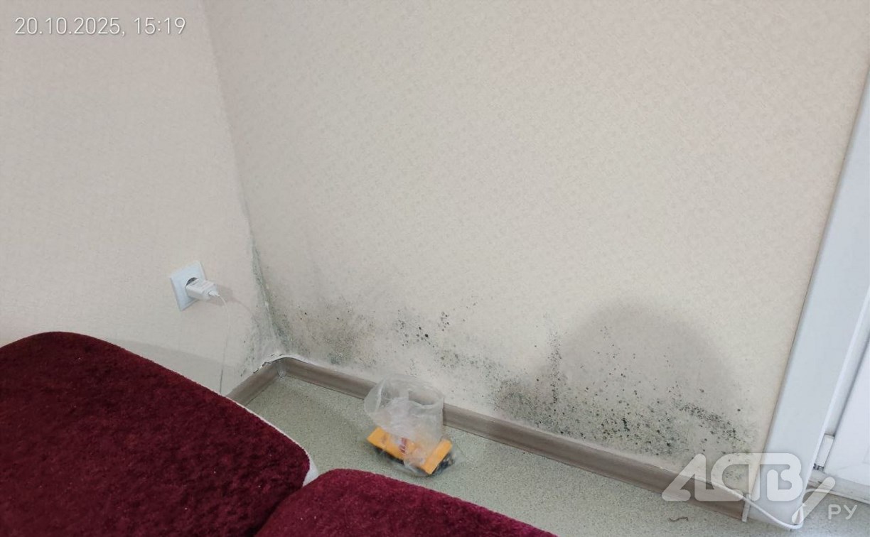 Жительница Корсакова пожаловалась на плесень в новой квартире: застройщик проигнорировал гарантию Жительница Корсакова пожаловалась на плесень в новой квартире: застройщик проигнорировал гарантию
