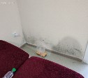 Жительница Корсакова пожаловалась на плесень в новой квартире: застройщик проигнорировал гарантию