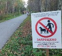 Правила выгула животных в парке Долинска обсудили после нападения собаки на ребёнка