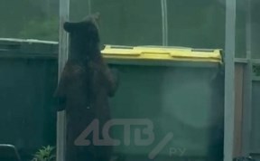 Общество