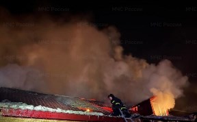Происшествия