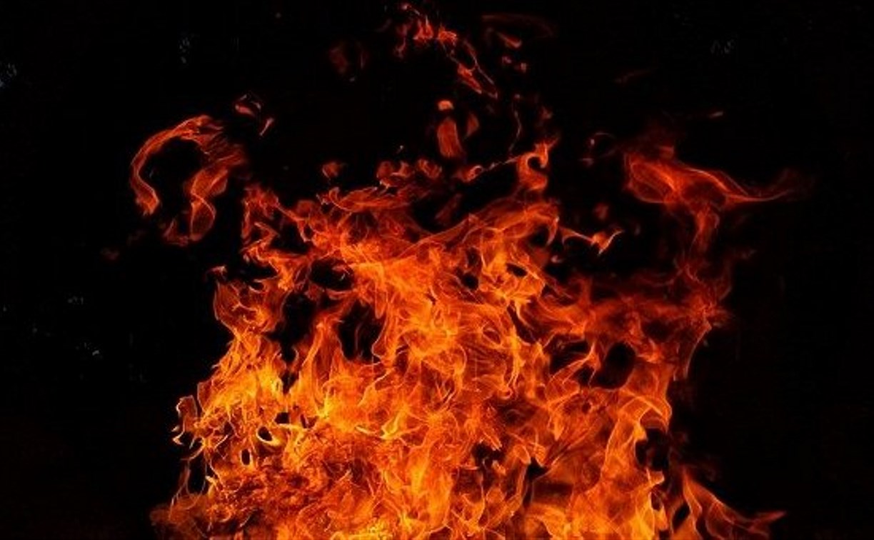 В сахалинском селе ночью огонь спалил 3 тысячи квадратов травы