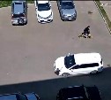 "Родители не контролируют": в Сахалинской области дети стали причиной трёх ДТП во дворах 