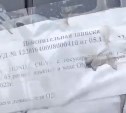 В Поронайске не признающая РФ женщина с "именем собственным" устроила скандал сотрудникам ГИБДД