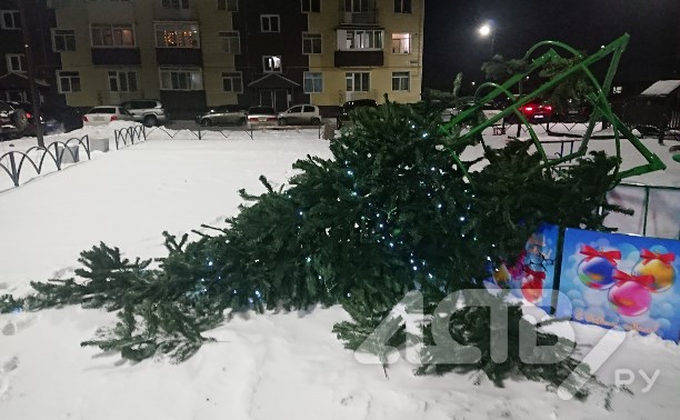 Первый пошёл: в Новотроицком упала новогодняя ёлка