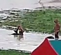"Ура, школу отменили": дети в Южно-Сахалинске отправились купаться в лужах во время циклона