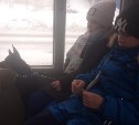 Две девочки и тойтерьер пропали в Корсакове