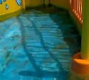 Грязища и плесень: в новом аквапарке Южно-Сахалинска родители боятся за здоровье детей