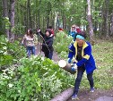 В городском парке Южно-Сахалинска пройдет субботник
