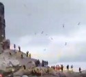 Годовалого малыша-сивуча пугают туристы на маяке Анива