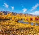 Погода на Сахалине и Курилах на 5 октября: преимущественно ясно, днём до +16 °C