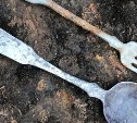 Немецкую оловянную вилку обнаружили на месте заброшенного посёлка на Сахалине