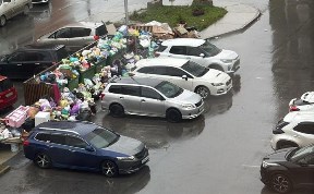 Общество